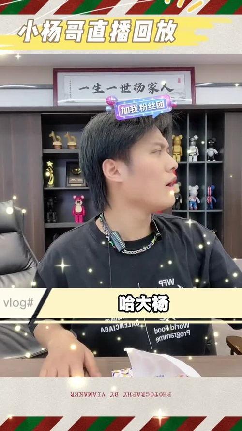 小杨哥直播回放爆料最新,最新爆料内容大汇总