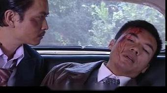 孤步谍影在线观看,揭秘特工世界的惊险秘境